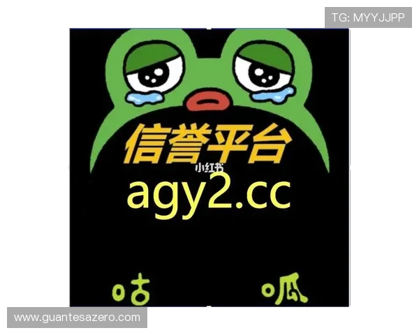 优质AG真人厅网址大全，确保玩家畅享无忧的真人娱乐体验与快速登录通道